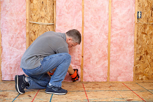 Best Residential Insulation in Wharton, TX